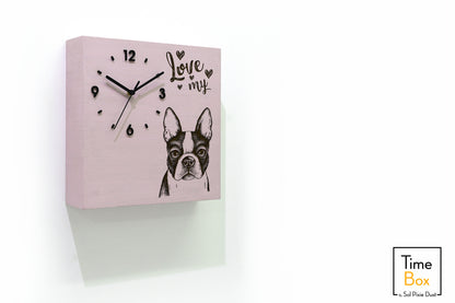 Time Box Modern Cuckoo Bird.  Cuckoo and Pendulum Wall Clock