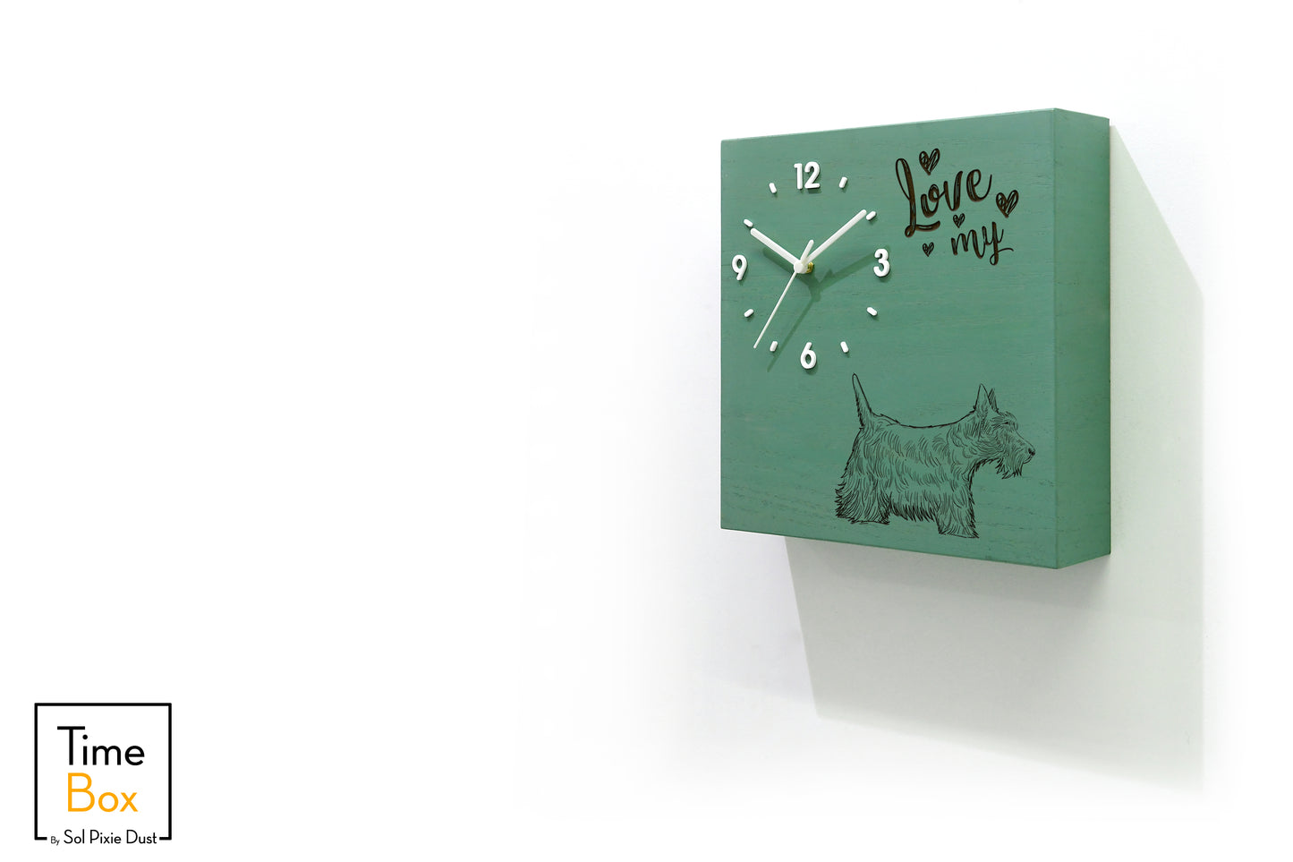 Time Box Modern Cuckoo Bird.  Cuckoo and Pendulum Wall Clock