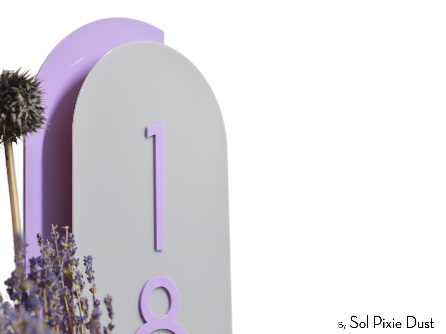Boho Arch Plaque with Acrylic House Number Sign