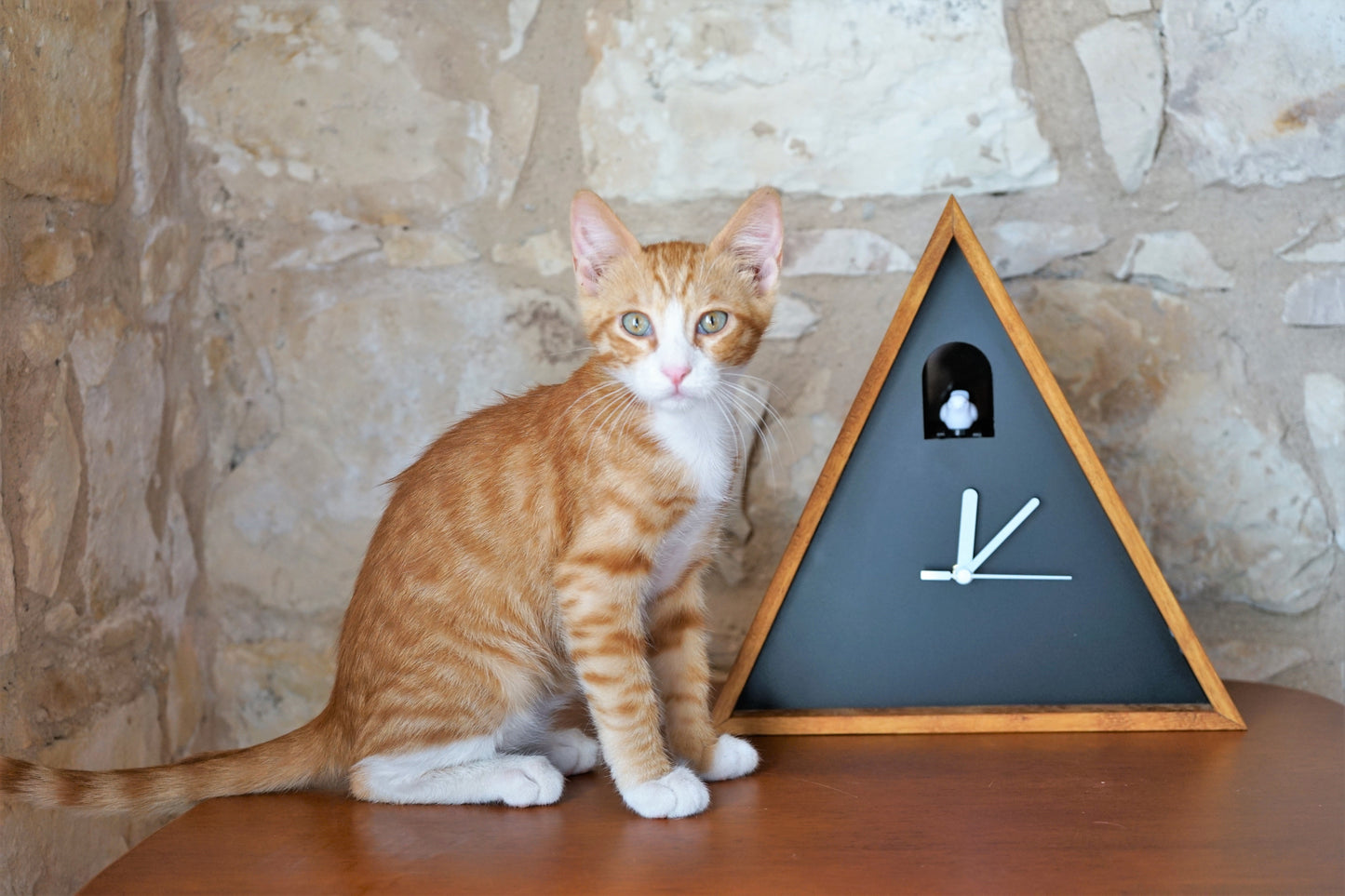 Cabin Cuckoo Bird Wall Clock - Table Clock - Solid Iroko Wood or White Oak