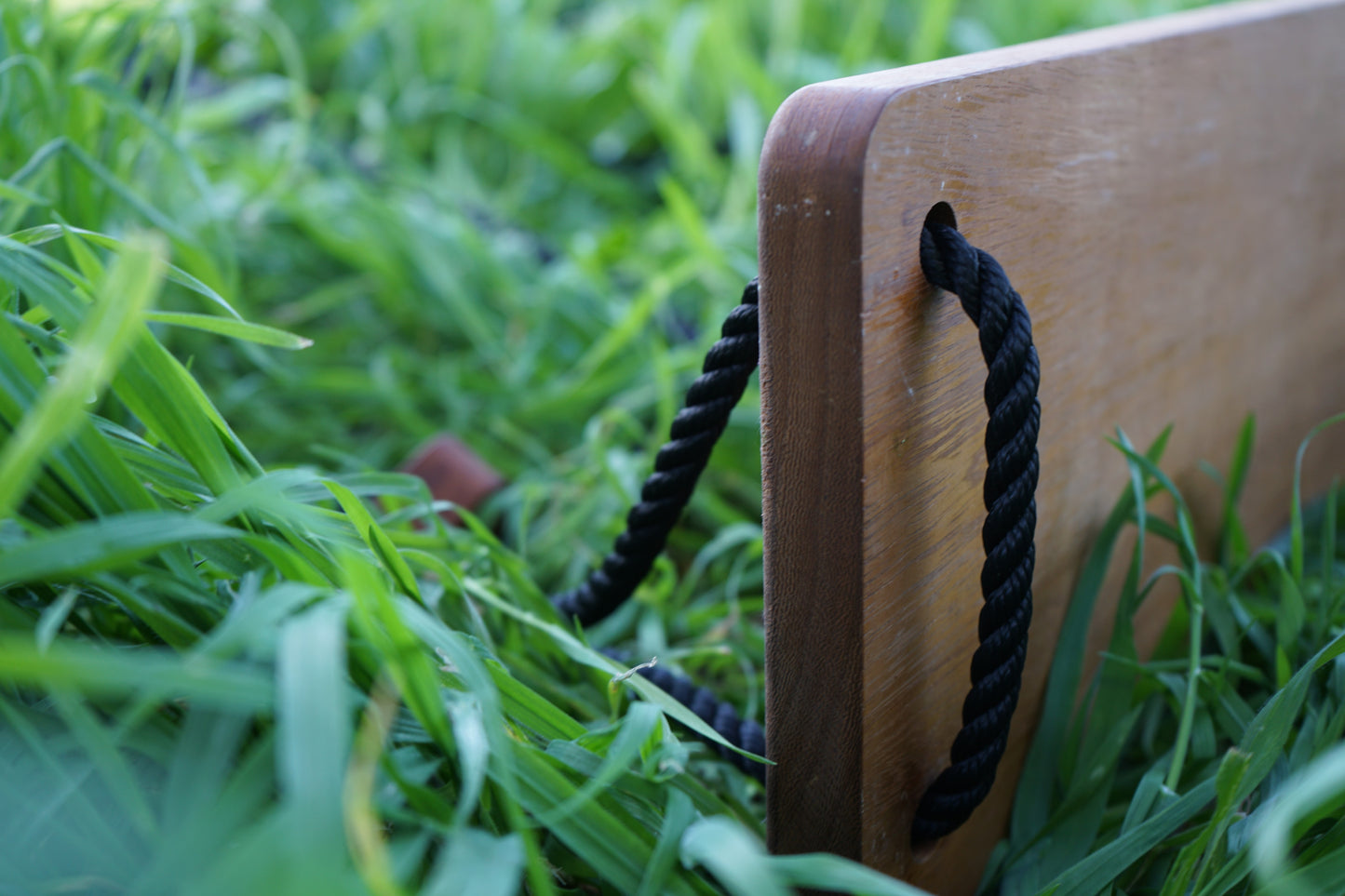 Wooden Rope Swing