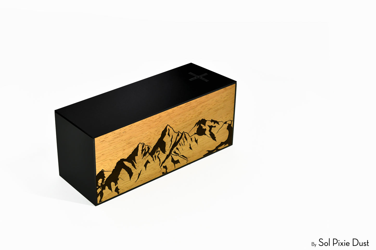 Piggy Bank Money Bank