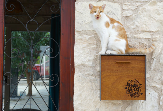 Modern Wall Mounted Mailbox Type 1
