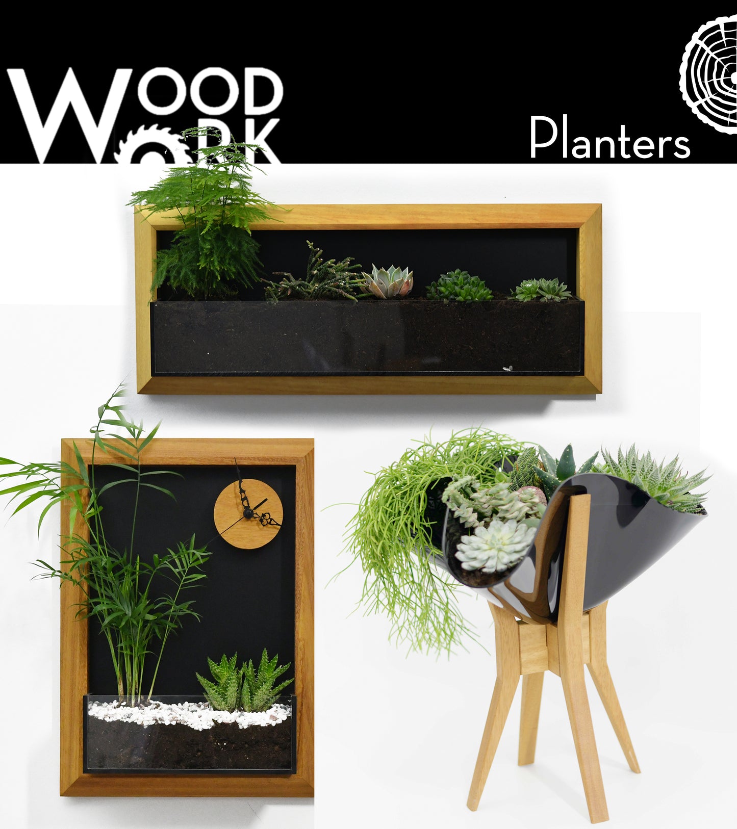 The "Living Frame" - Iroko Wood Planter