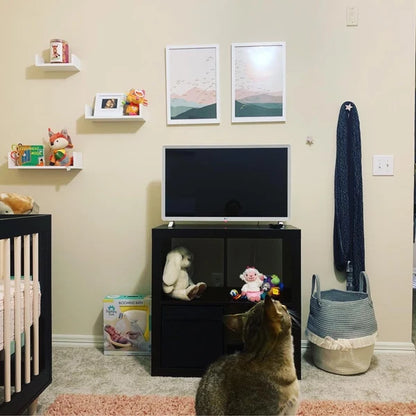 Wall Pegs and Racks - Wall Pegs