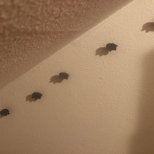 Wall Pegs and Racks - Wall Pegs