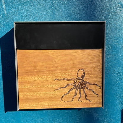 Type 1 - Wall Mounted Mailbox with Custom Door Styles & Body Colors