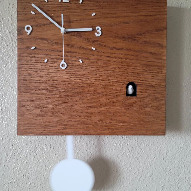 Time Box Modern Cuckoo Bird.  Cuckoo and Pendulum Wall Clock