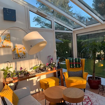 Time Box Modern Cuckoo Bird.  Cuckoo and Pendulum Wall Clock