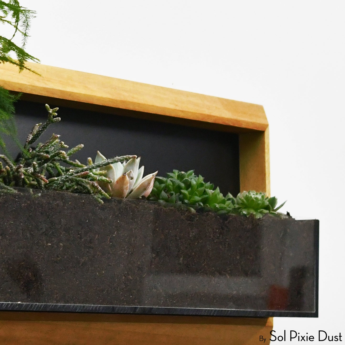 The "Living Frame" - Iroko Wood Planter