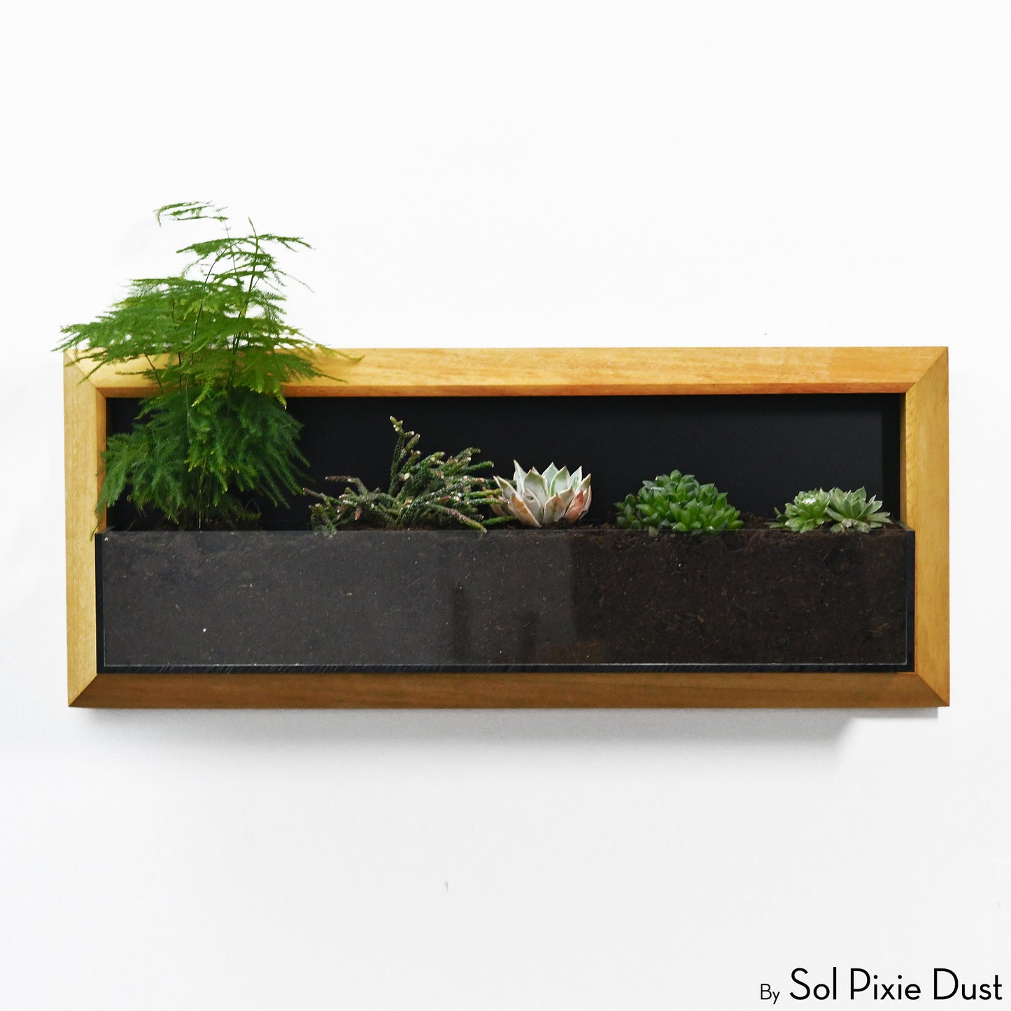 The "Living Frame" - Iroko Wood Planter
