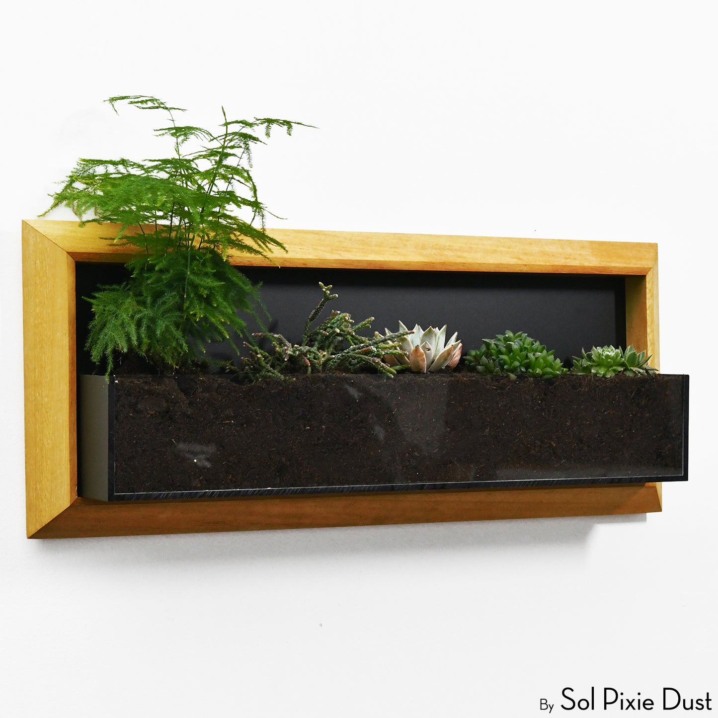 The "Living Frame" - Iroko Wood Planter