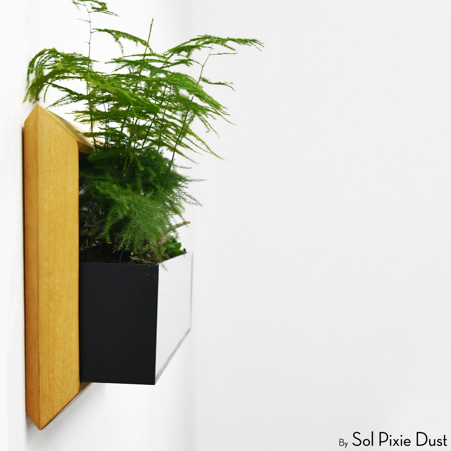 The "Living Frame" - Iroko Wood Planter