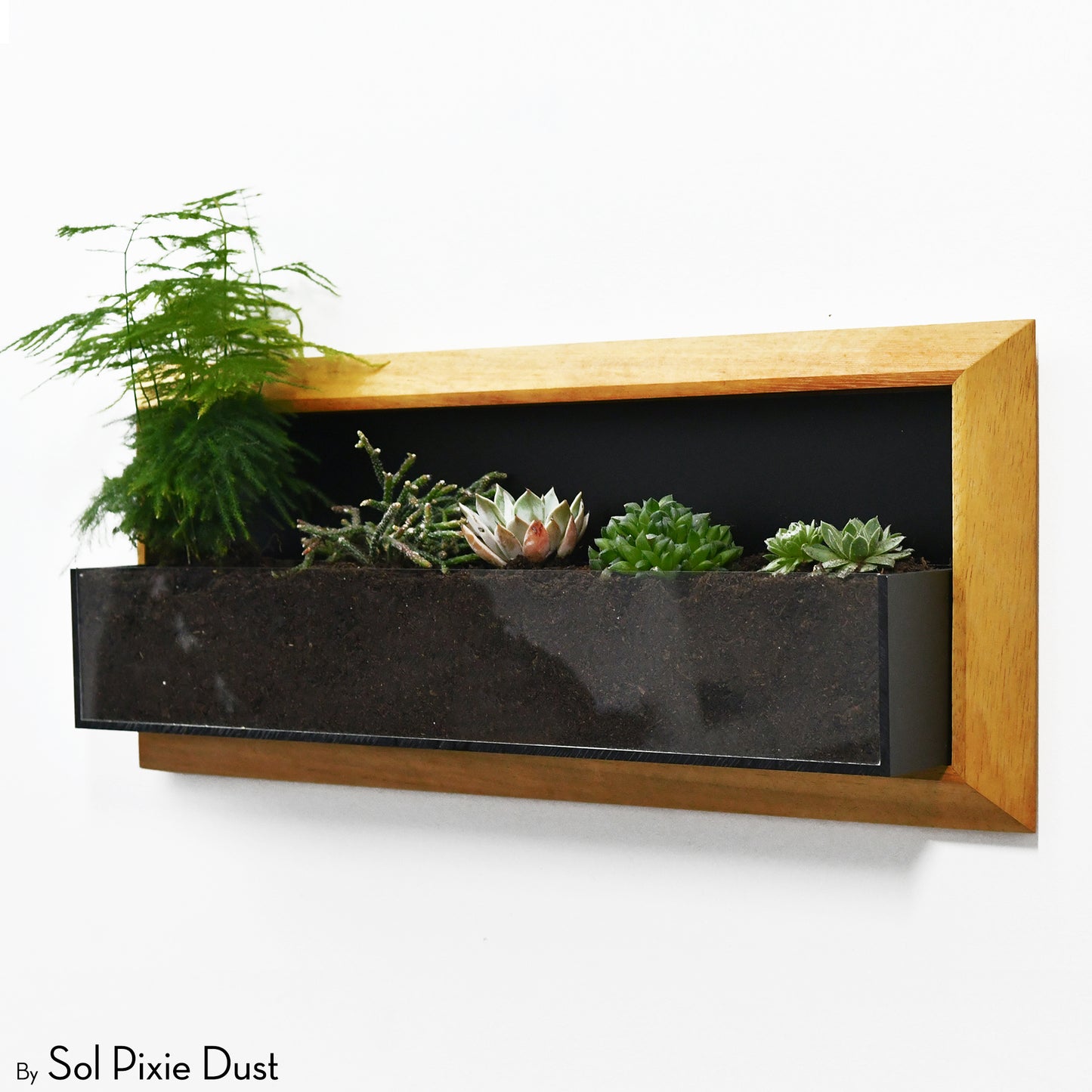 The "Living Frame" - Iroko Wood Planter