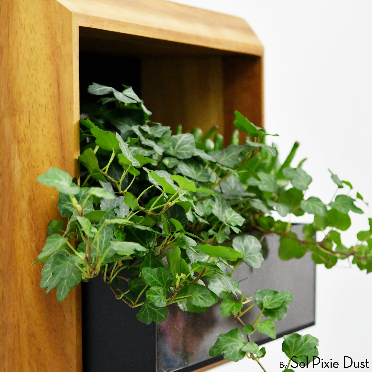 The "Living Frame" - Iroko Wood Planter & Wall Clock