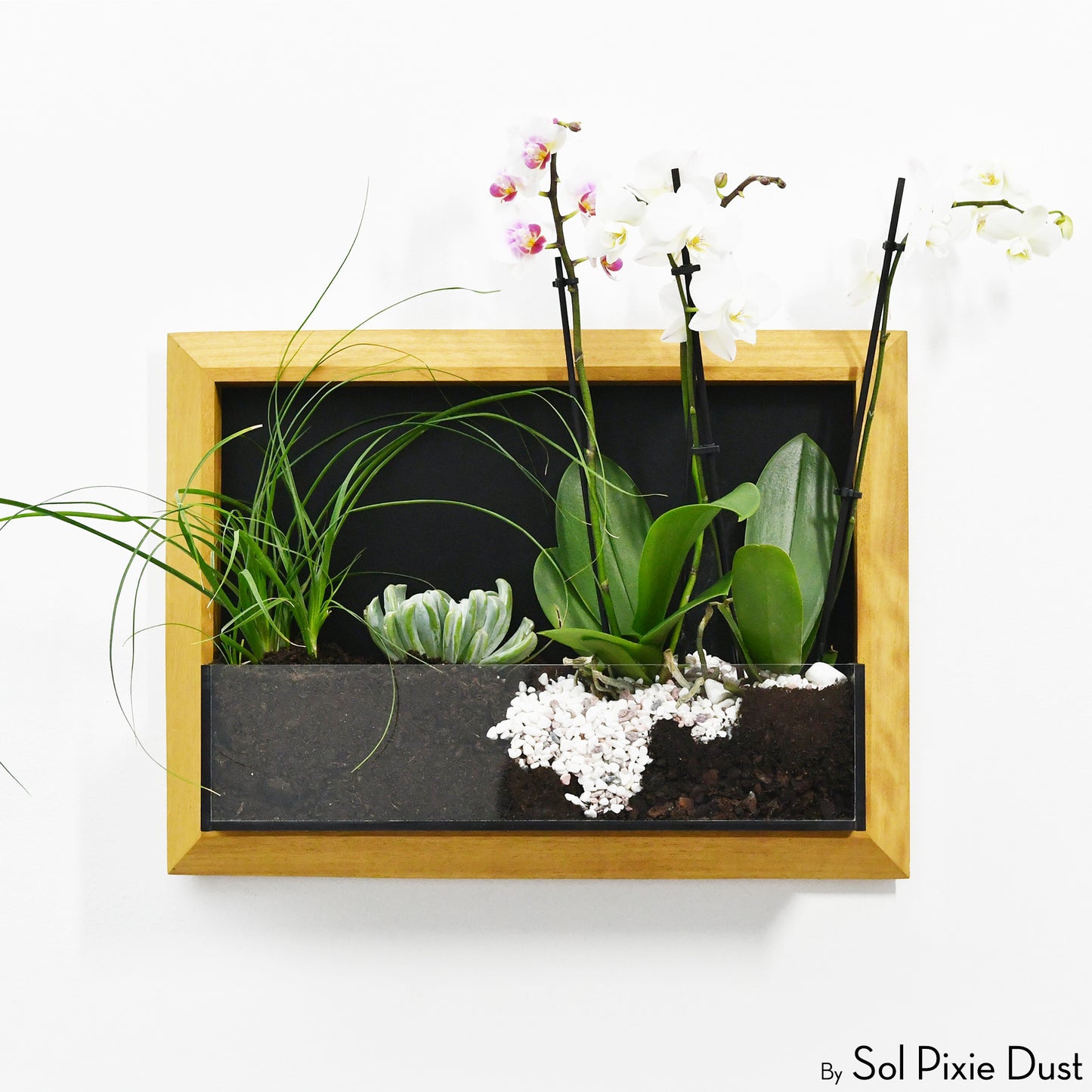 The "Living Frame" - Iroko Wood Planter & Wall Clock
