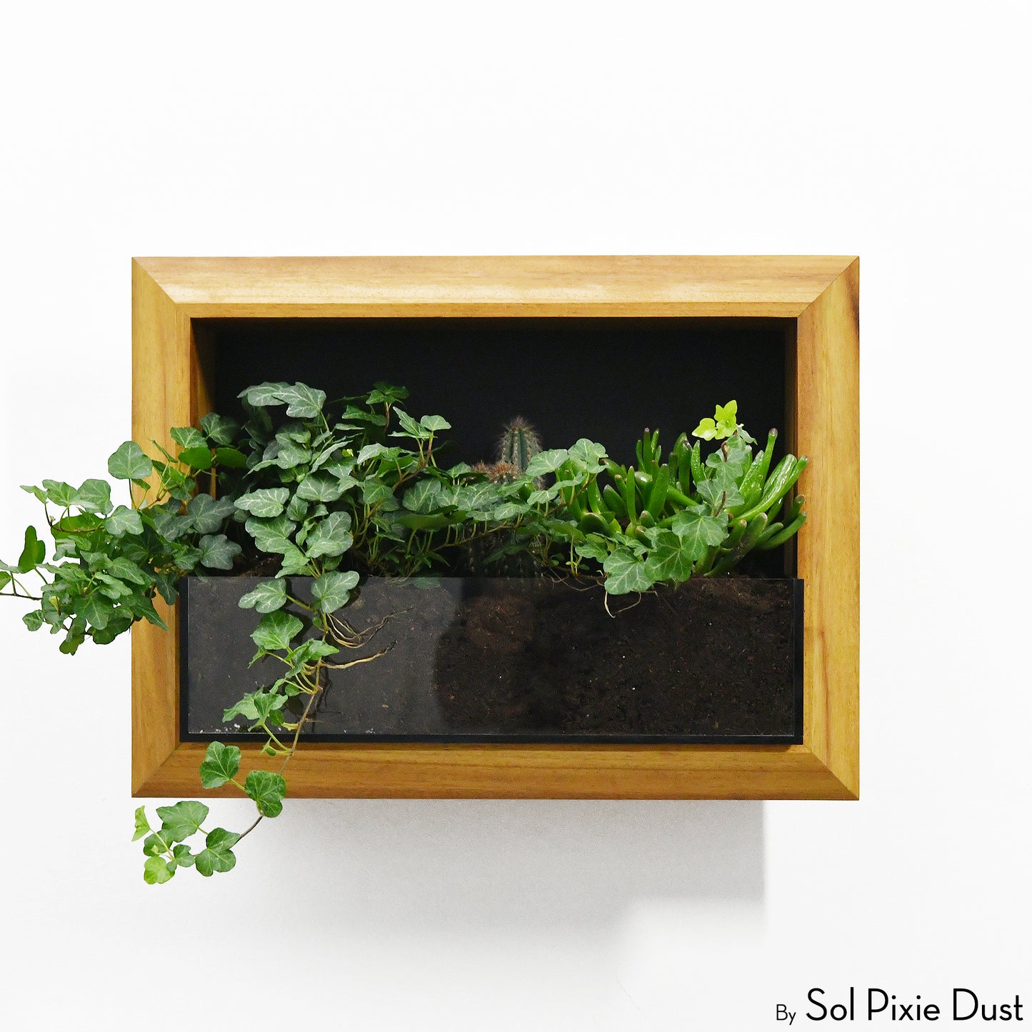 The "Living Frame" - Iroko Wood Planter & Wall Clock