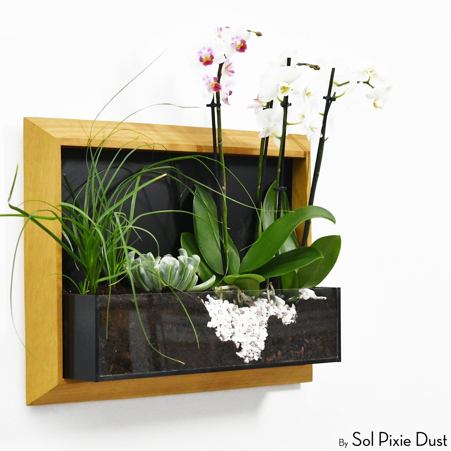 The "Living Frame" - Iroko Wood Planter & Wall Clock