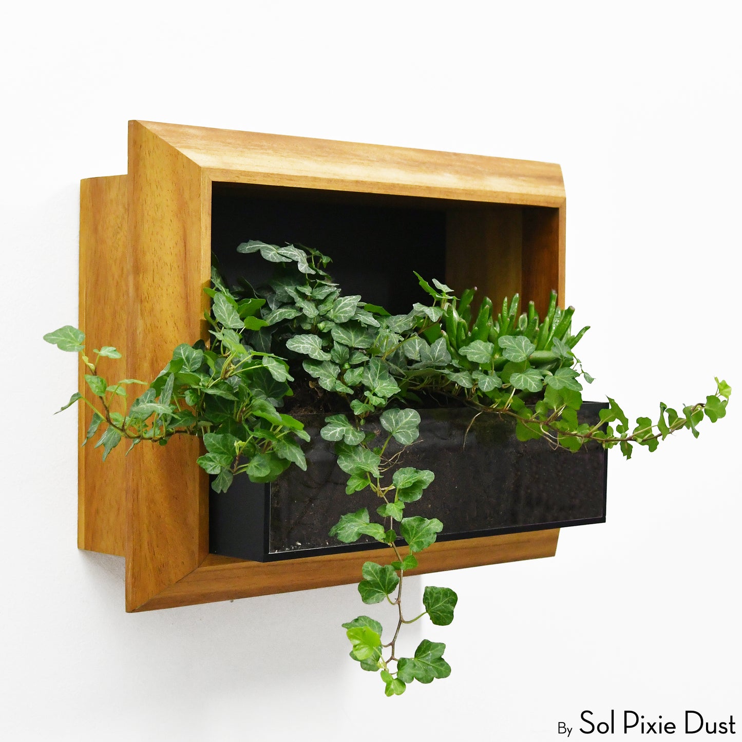 The "Living Frame" - Iroko Wood Planter & Wall Clock