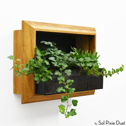 The "Living Frame" - Iroko Wood Planter & Wall Clock