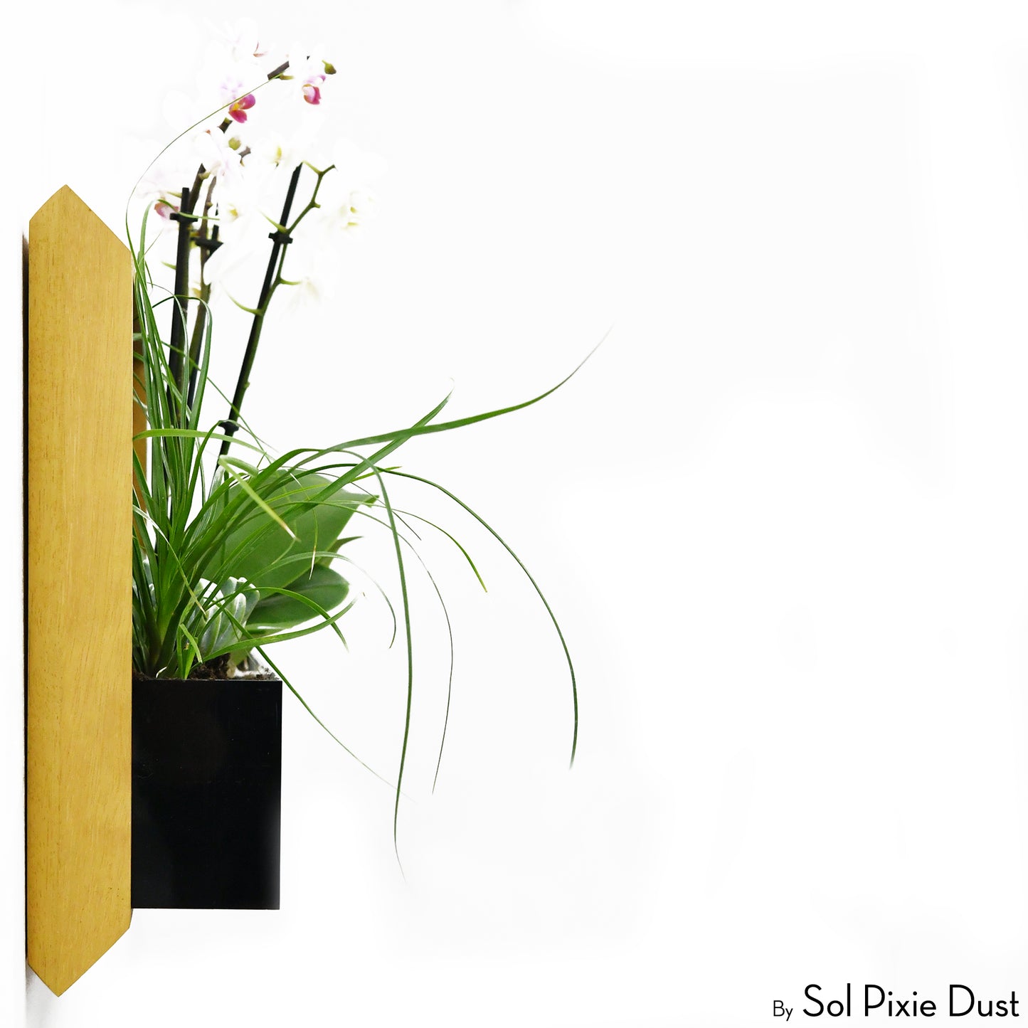 The "Living Frame" - Iroko Wood Planter & Wall Clock