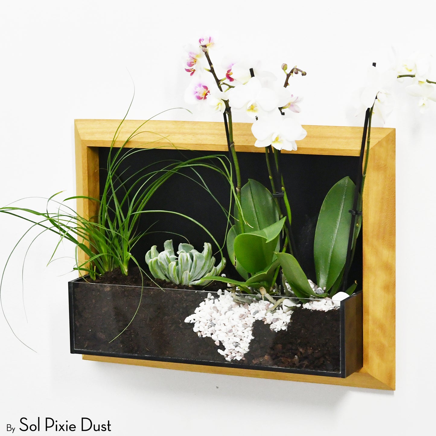 The "Living Frame" - Iroko Wood Planter & Wall Clock