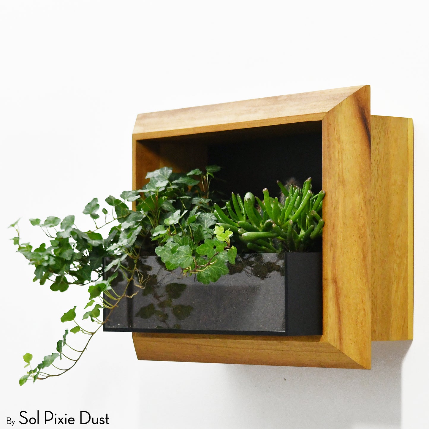 The "Living Frame" - Iroko Wood Planter & Wall Clock