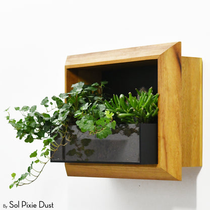 The "Living Frame" - Iroko Wood Planter & Wall Clock