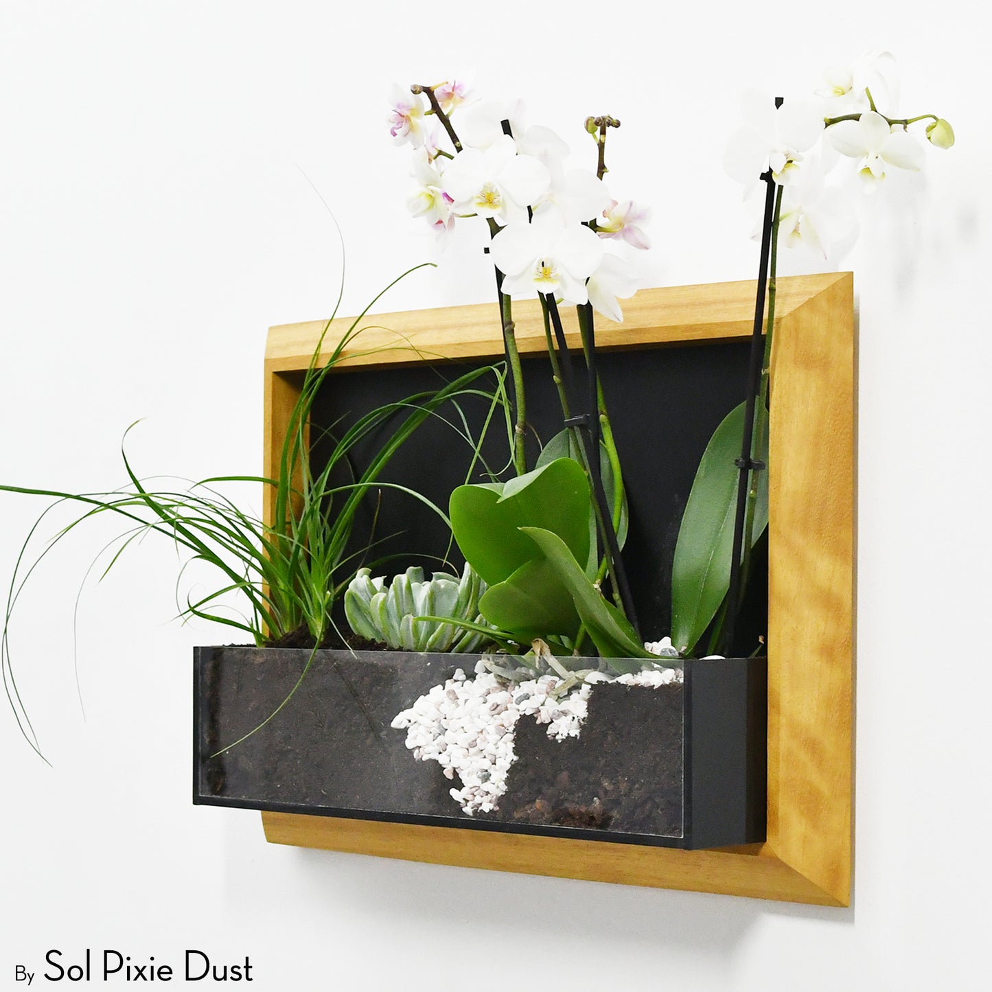 The "Living Frame" - Iroko Wood Planter & Wall Clock