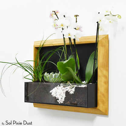 The "Living Frame" - Iroko Wood Planter & Wall Clock
