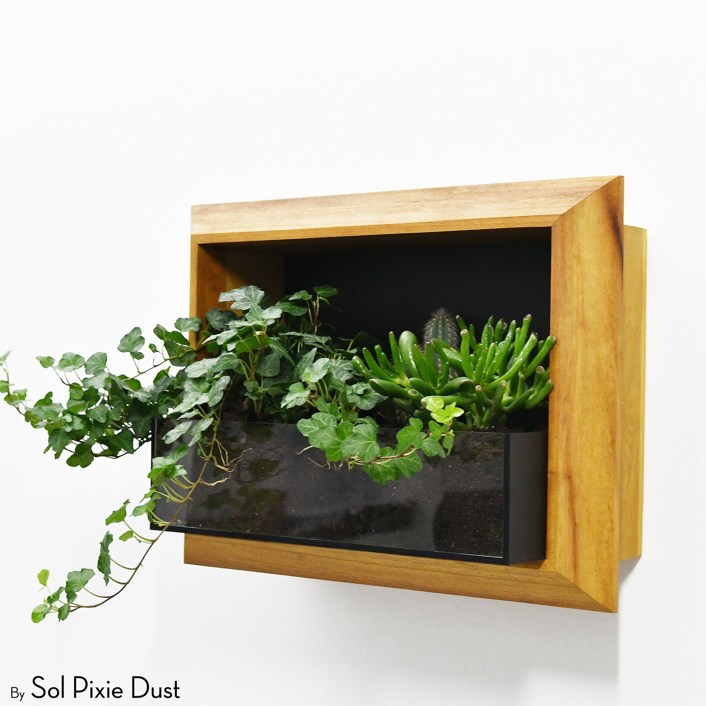 The "Living Frame" - Iroko Wood Planter & Wall Clock