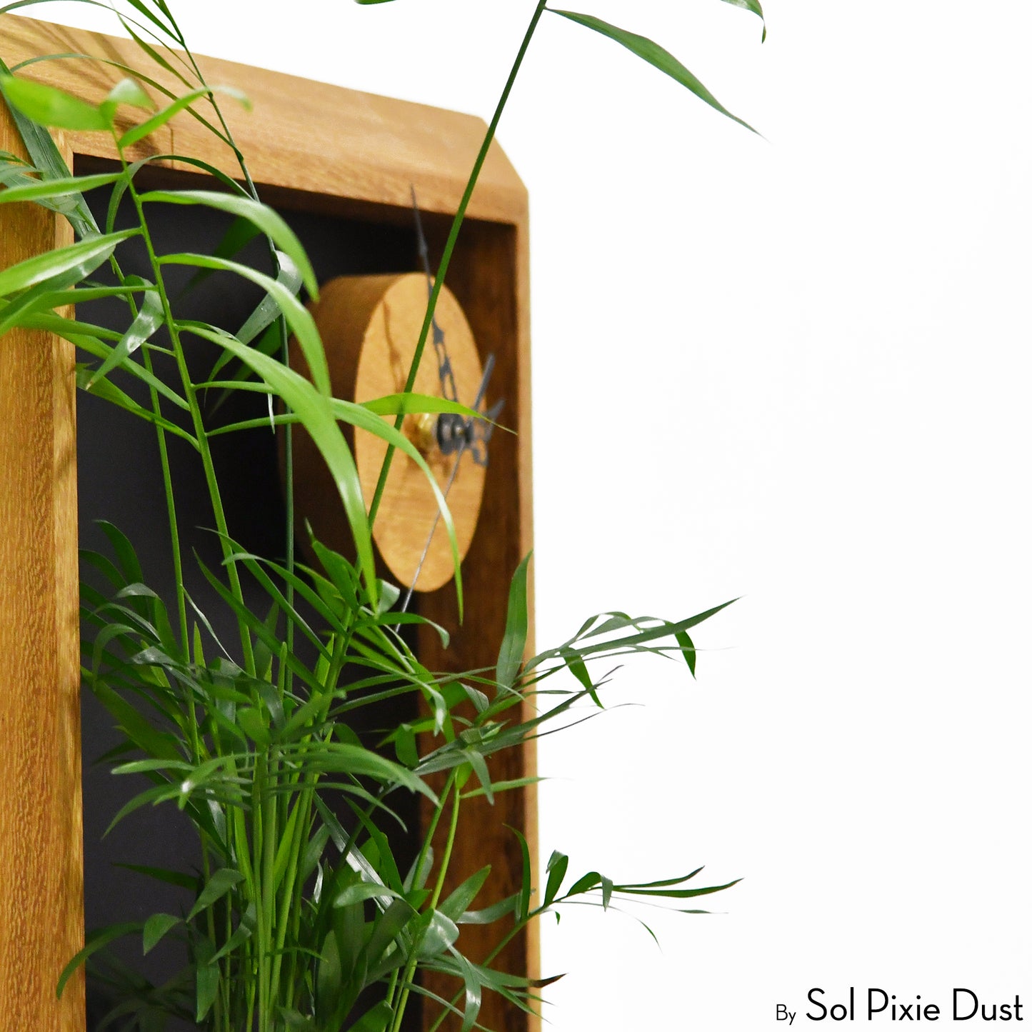 The "Living Frame" - Iroko Wood Planter & Wall Clock