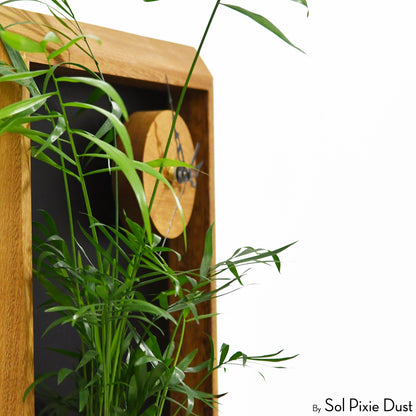 The "Living Frame" - Iroko Wood Planter & Wall Clock