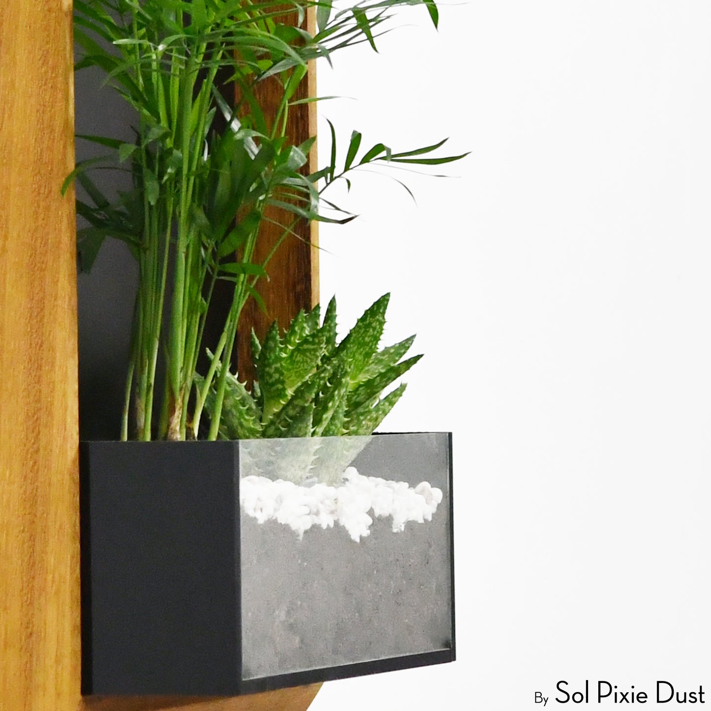 The "Living Frame" - Iroko Wood Planter & Wall Clock