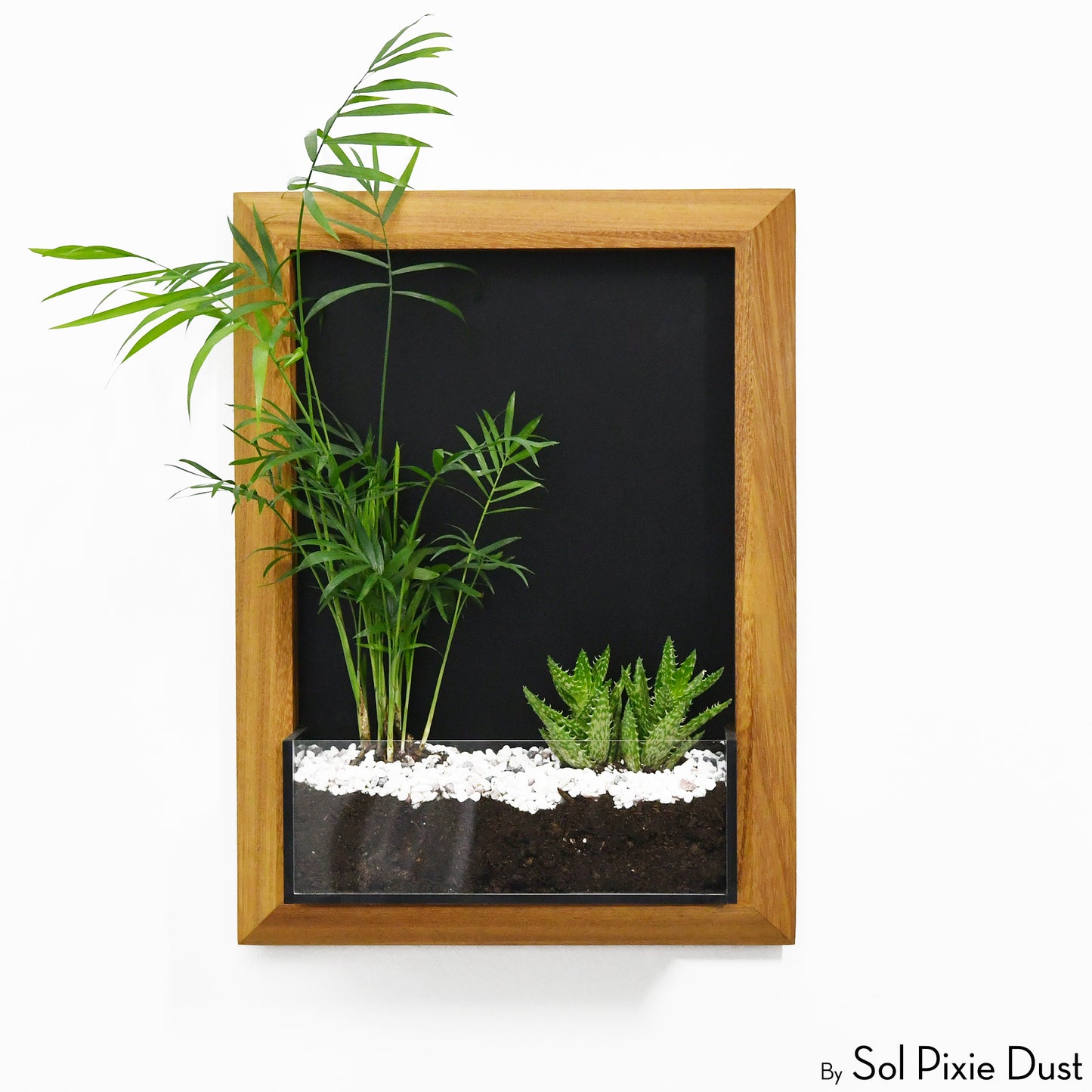 The "Living Frame" - Iroko Wood Planter & Wall Clock