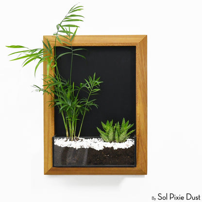 The "Living Frame" - Iroko Wood Planter & Wall Clock