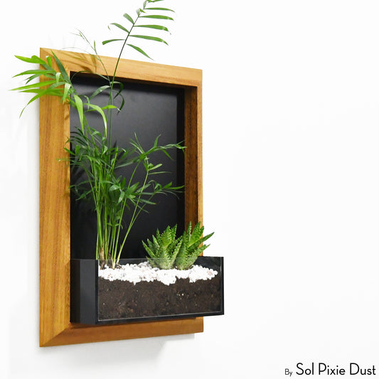 The "Living Frame" - Iroko Wood Planter & Wall Clock