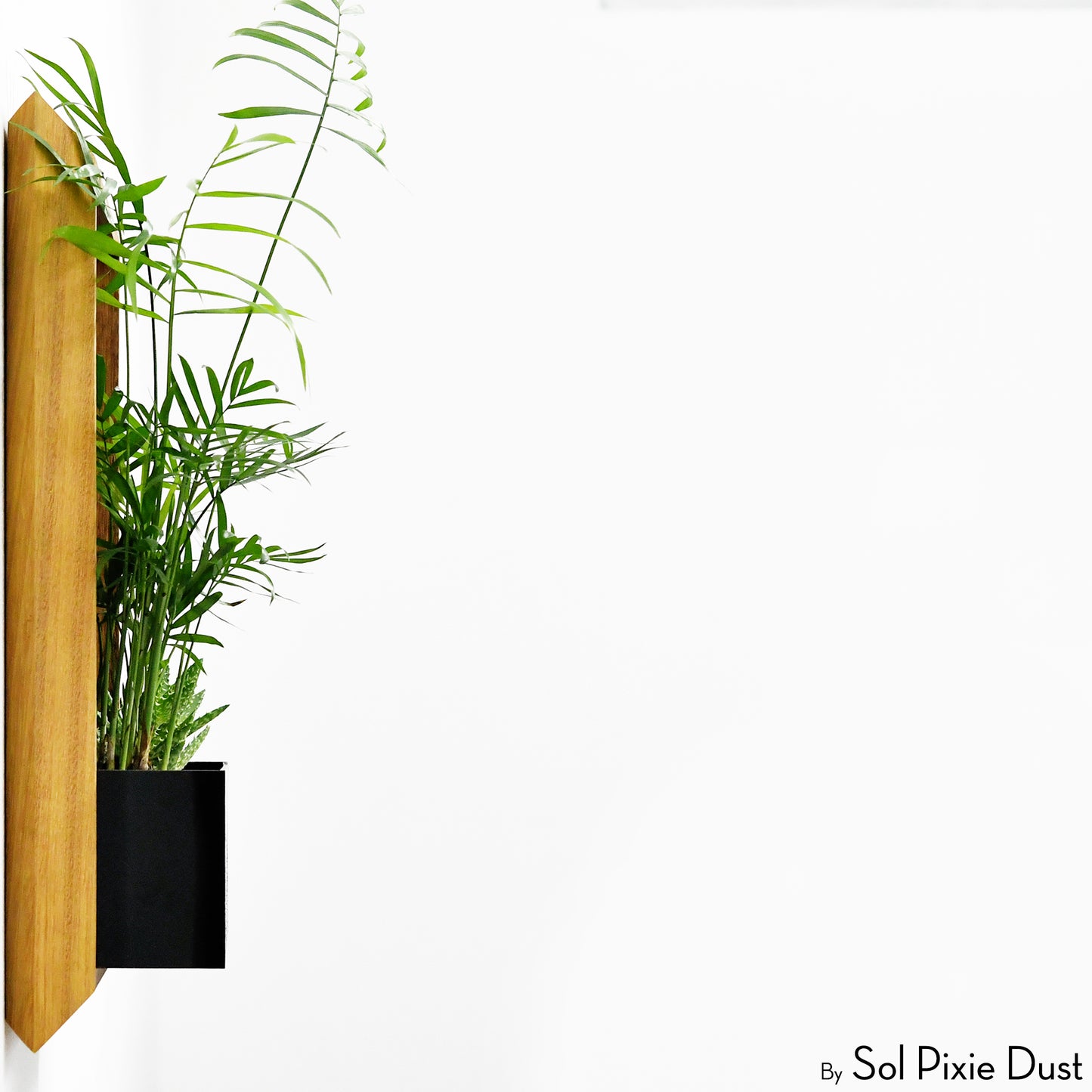 The "Living Frame" - Iroko Wood Planter & Wall Clock