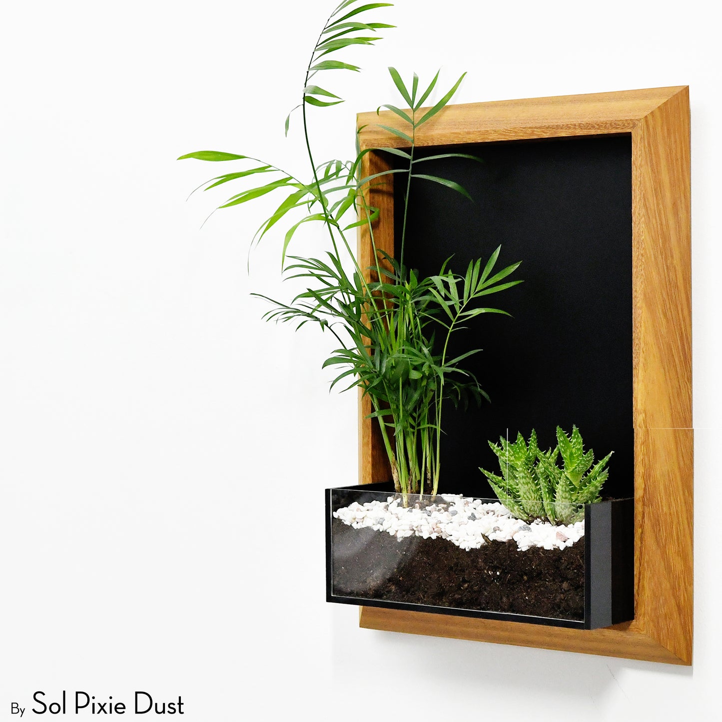 The "Living Frame" - Iroko Wood Planter & Wall Clock