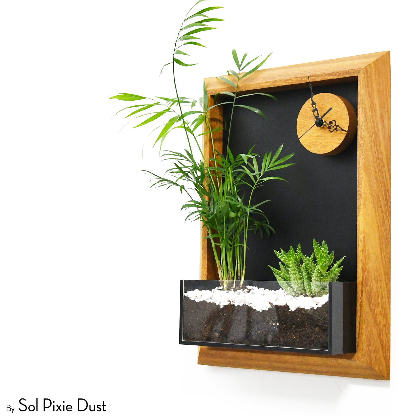 The "Living Frame" - Iroko Wood Planter & Wall Clock