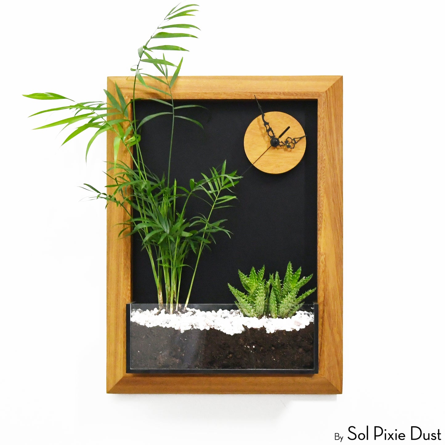 The "Living Frame" - Iroko Wood Planter & Wall Clock