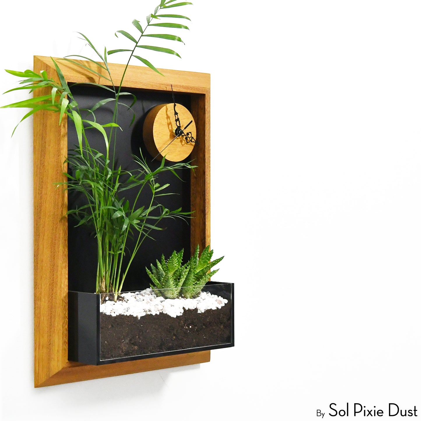 The "Living Frame" - Iroko Wood Planter & Wall Clock