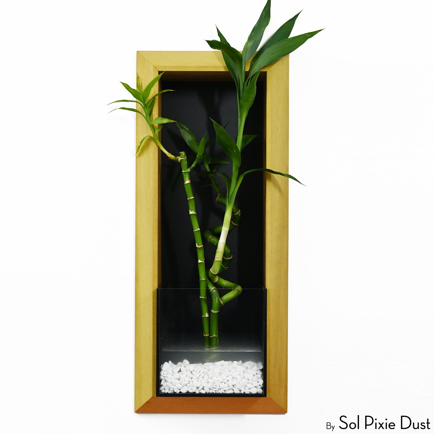 The "Living Frame" - Iroko Wood Planter
