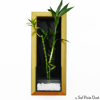 The "Living Frame" - Iroko Wood Planter