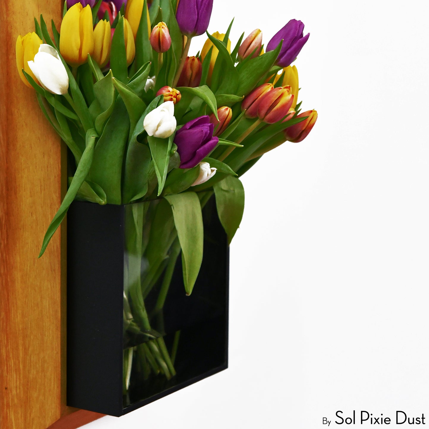 The "Living Frame" - Iroko Wood Planter