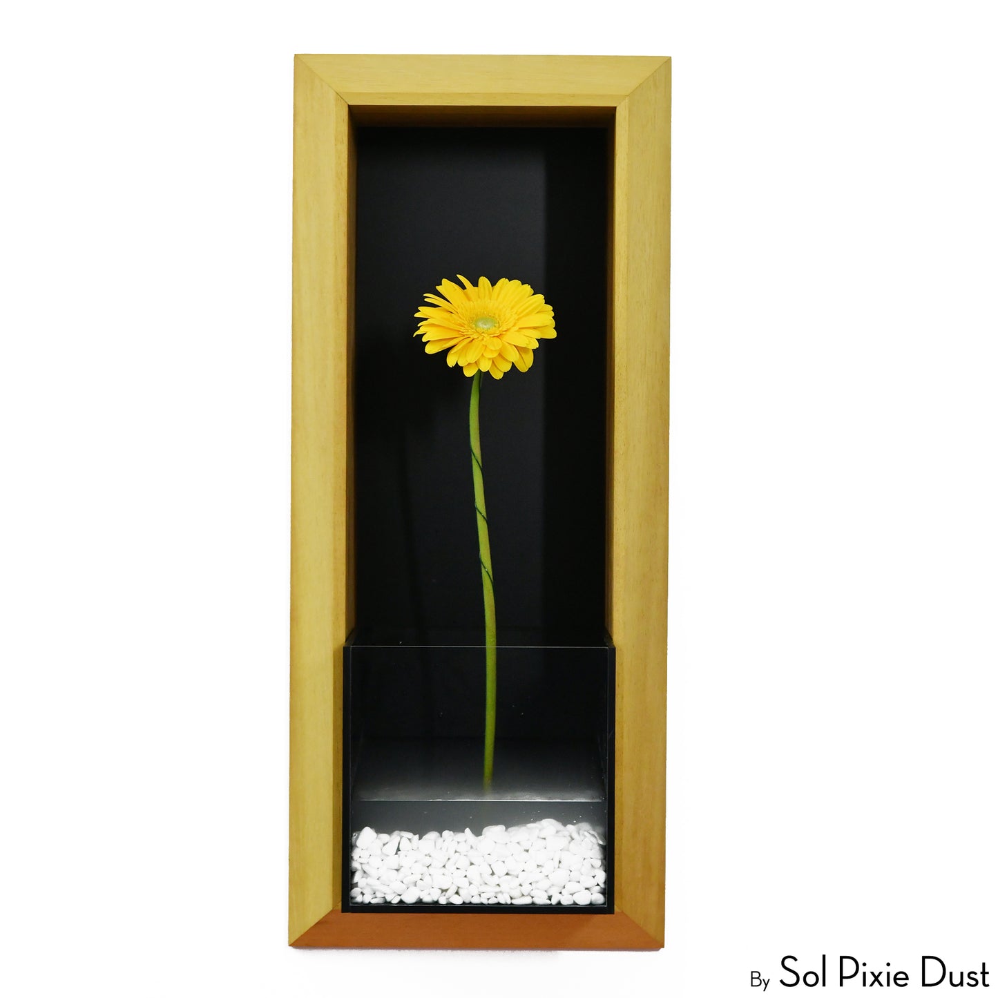 The "Living Frame" - Iroko Wood Planter