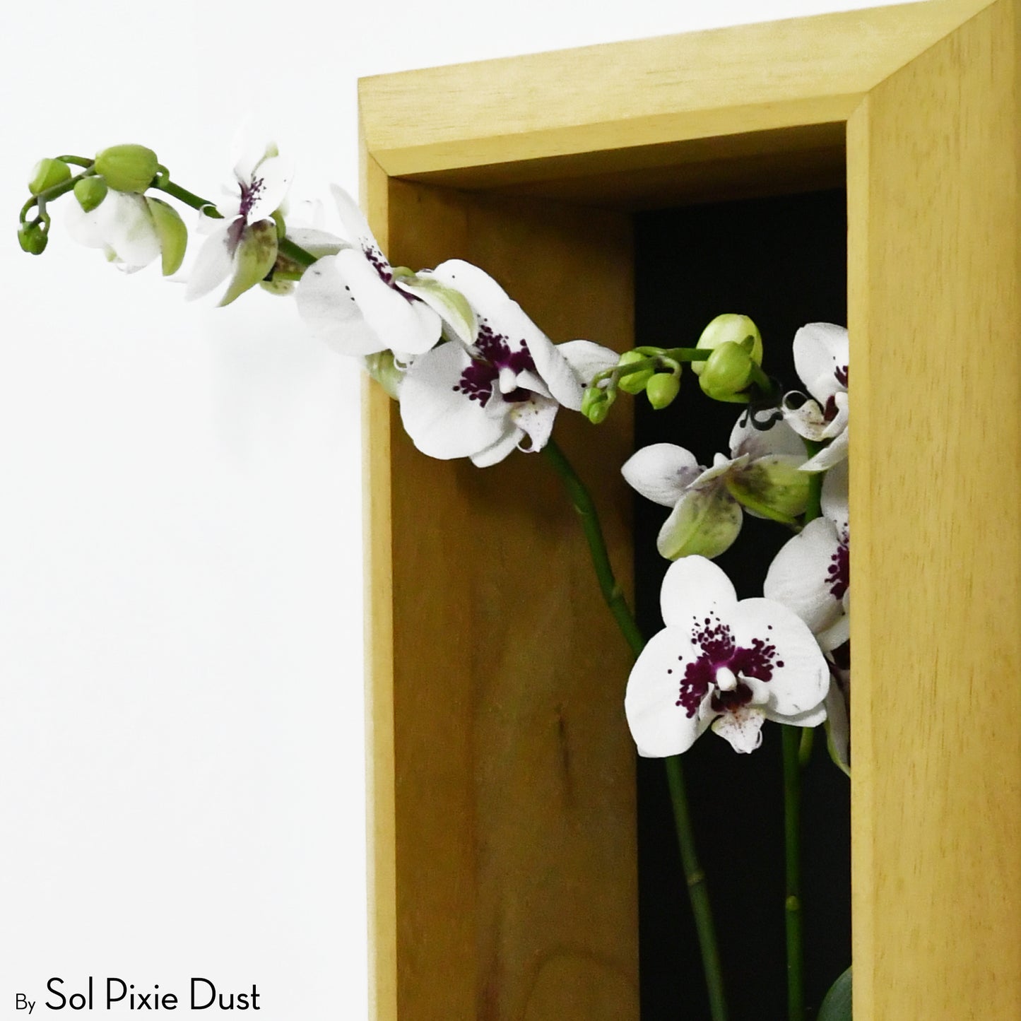 The "Living Frame" - Iroko Wood Planter