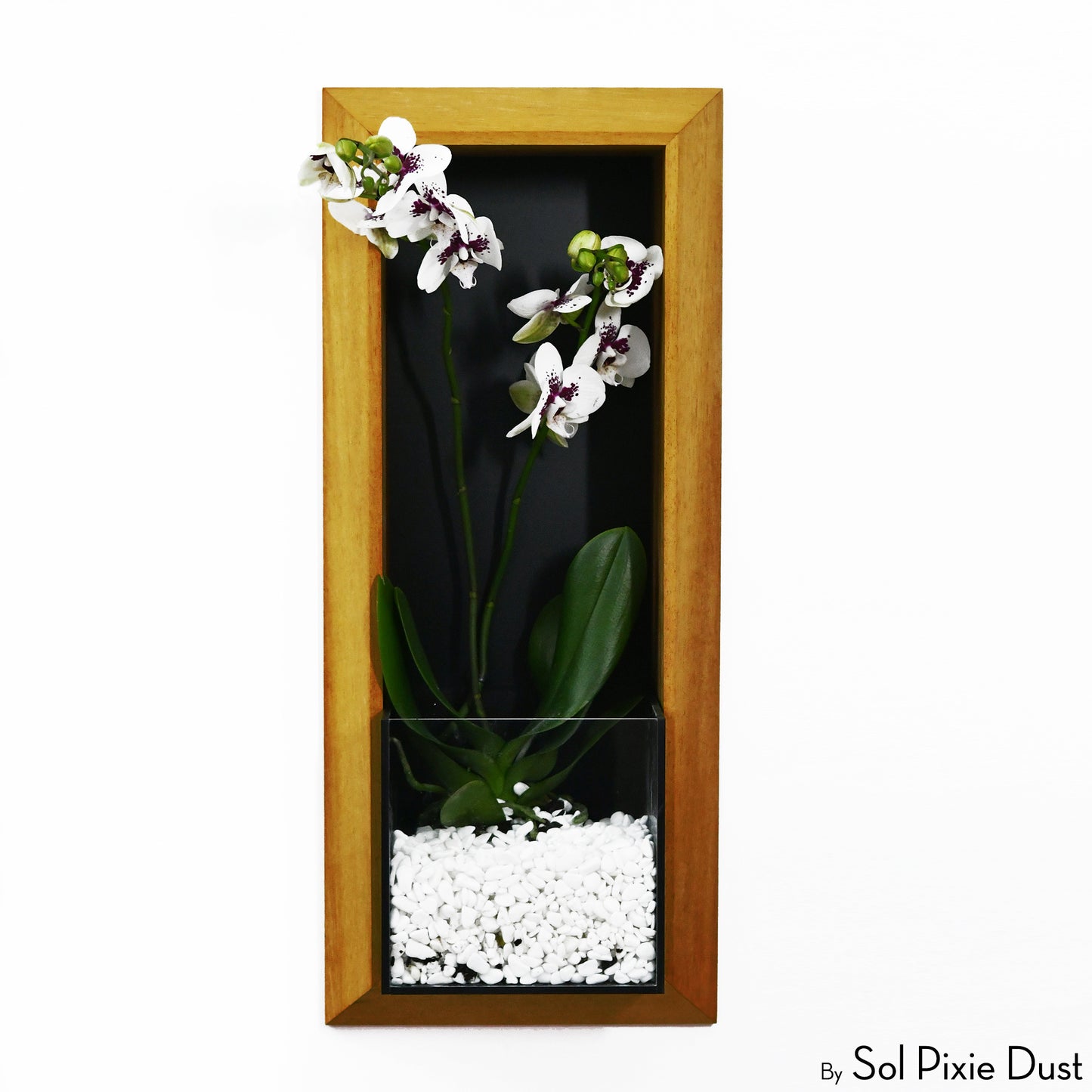 The "Living Frame" - Iroko Wood Planter