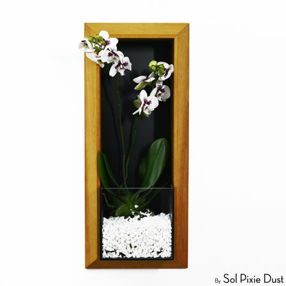 The "Living Frame" - Iroko Wood Planter