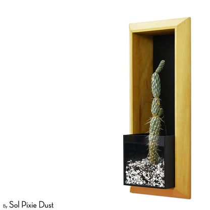 The "Living Frame" - Iroko Wood Planter